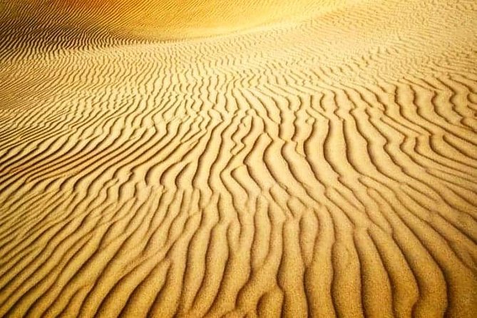 Desert Safari Red Dunes with Camel Ride, Sandboard, BBQ and Shows - Camel riding and sandboarding at the camp