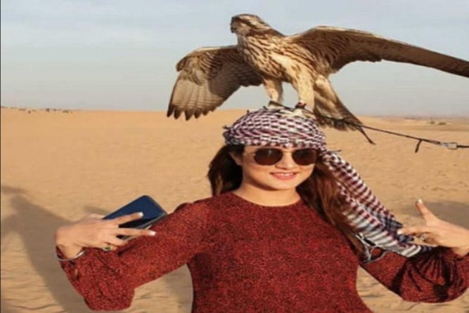 Desert Safari Tour, 6 Hour Fun, Family & Friends, Camel Ride & Dinner Included. - What the camp adds to the evening
