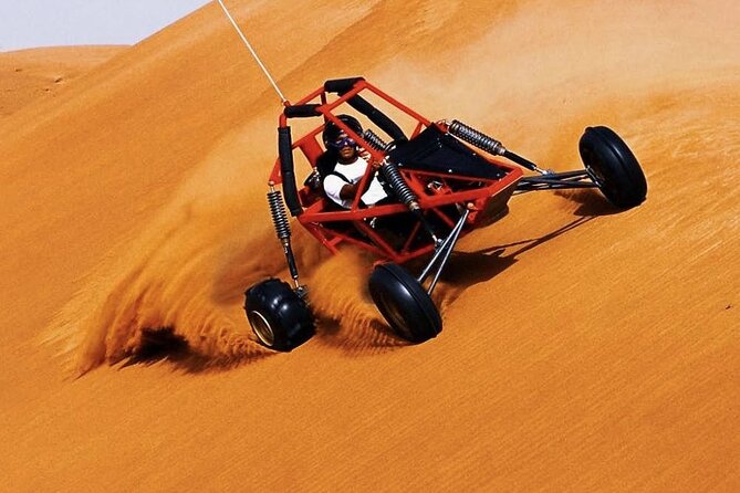 Desert Safari Tour, 6 Hour Fun, Family & Friends, Camel Ride & Dinner Included. - Timing, cancellation, and practical planning