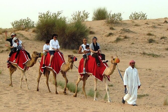 Desert Safari Tour, 6 Hour Fun, Family & Friends, Camel Ride & Dinner Included. - Should you book this Dubai desert safari?