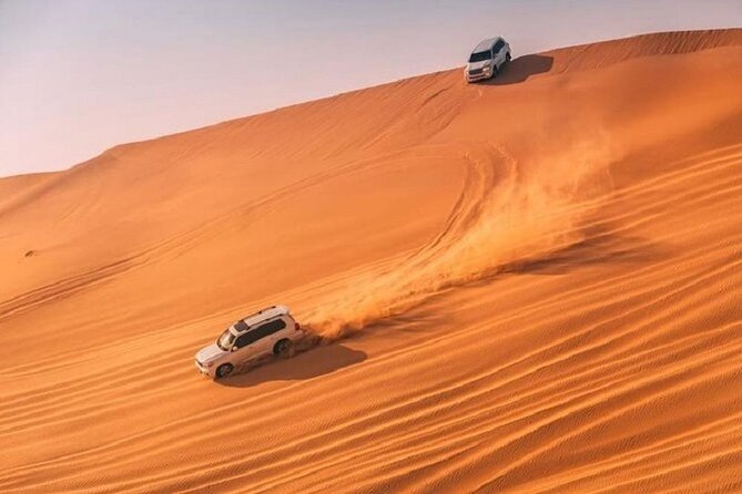 Desert Safari With Bab Al Shams Dinner - Music, dance, and the falcon display