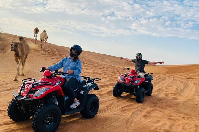 Desert Safari with BBQ Dinner, Camel Ride, Sand Board & Live Show - How much value do you get for $40?