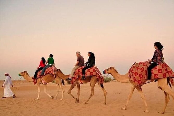 Desert Safari with BBQ Dinner, Camel Ride, Sand Board & Live Show - One hour of dunes, driving, and optional quad biking