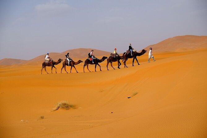 Desert Safari with BBQ Dinner from Dubai - Arriving at camp with gahwa and dates