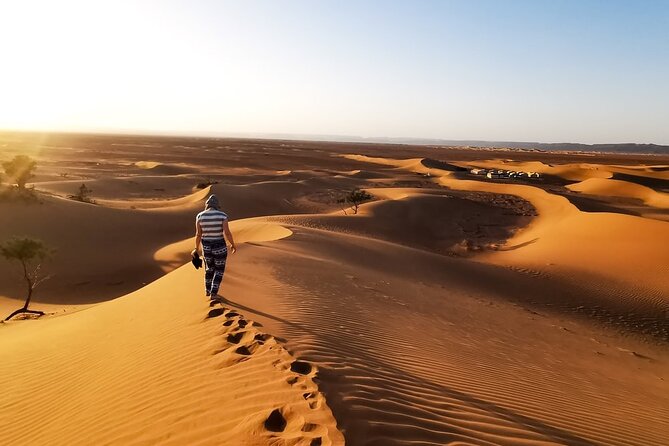 Desert Safari With BBQ Dinner, Quad Ride And And Sand-boarding - Entering the camp at Al Awir