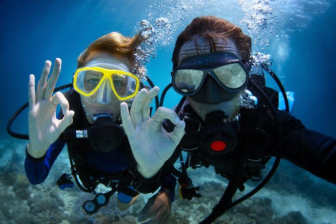 Discover Scuba Diving in Dubai - A Two-Hour Shore Session, Step by Step