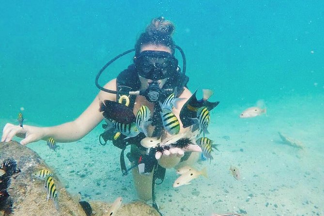 Discover Scuba Diving in Dubai - Getting to Nemo Diving Center