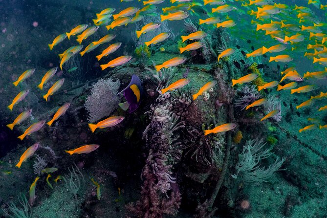 Dive trip to the coral reefs of Fujairah for certified scuba divers - Arriving at Le Meridien Beach Resort