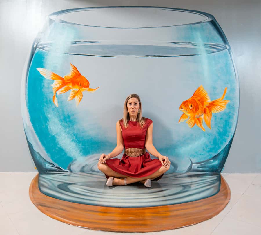 Dubai: 3D World Trick-Art Selfie Museum Entrance - Is $24 good value?