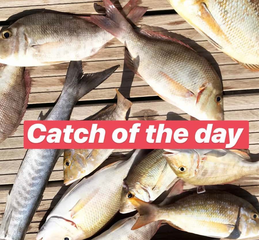 Dubai: 4-Hour Private Deep Sea/Trolling Fishing Trip - Practical details before you go