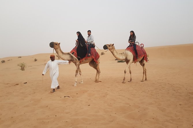 Dubai 4x4 Desert Safari, Quad Bike, Camel Ride & BBQ Dinner - The camel ride: brief but traditional