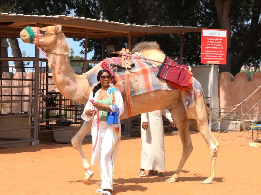 Dubai & Abu Dhabi: 2-Day Tour with Desert Safari - Dubai’s famous buildings by drive and photo stop