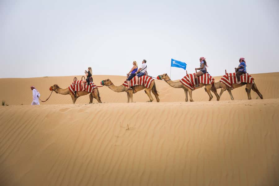 Dubai: Adventure Quad Bike Safari, Camel Ride & Refreshment - A short camel ride with a slower rhythm