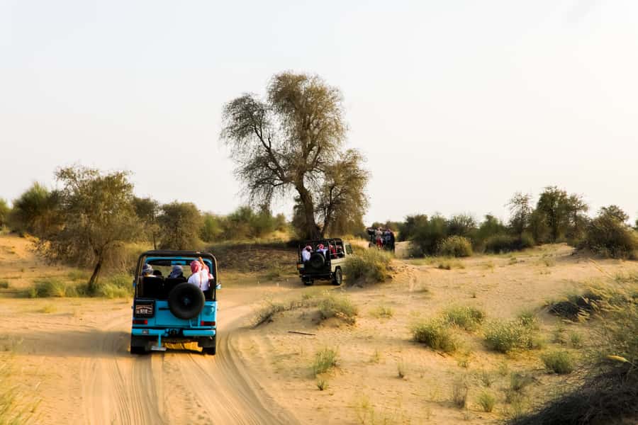 Dubai: Al Marmoom and Al Qudra Lakes Guided Tour with Dinner - Comfort, timing, and who should book