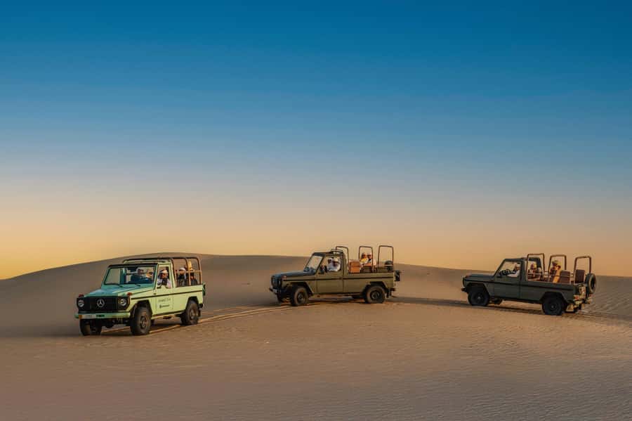 Dubai: Al Marmoom Oasis Safari, Animal Spotting & Breakfast - Hotel pickup and the drive to Al Marmoom Oasis