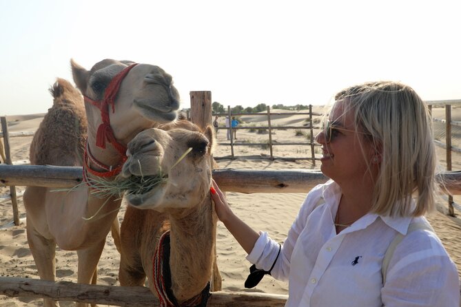 Dubai: Al Marmoom Oasis Vintage Safari: Camels, Stargazing & Meal - The big picture: a full evening of desert traditions