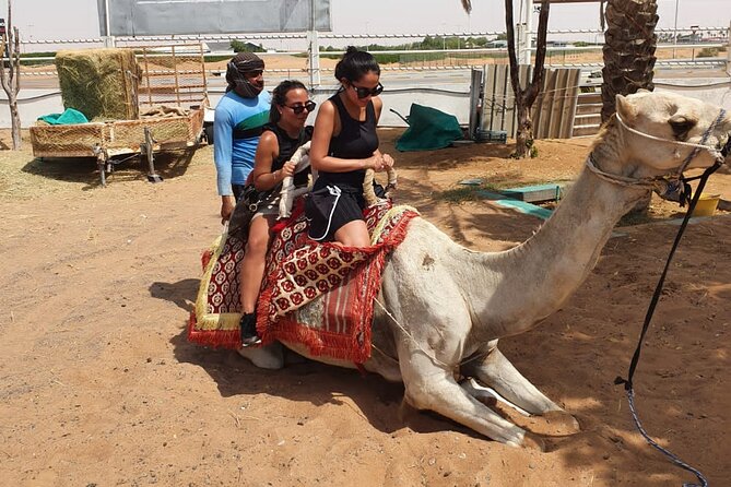 Dubai: All Inclusive Desert Safari with ATV, Camel, Horse ride, Vip & more - Dinner is the evening anchor