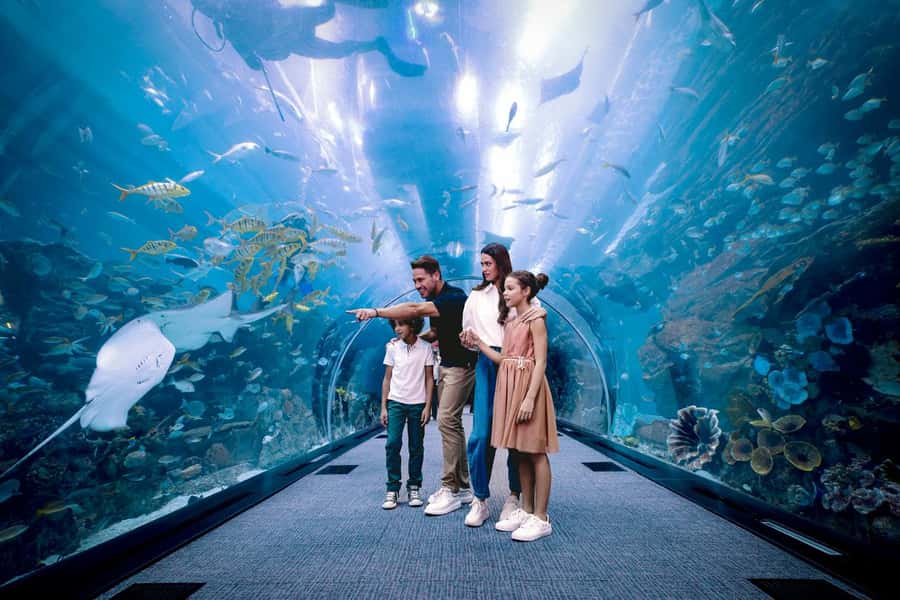 Dubai: Aquarium and Underwater Zoo Experience - The main tank and its short underwater tunnel