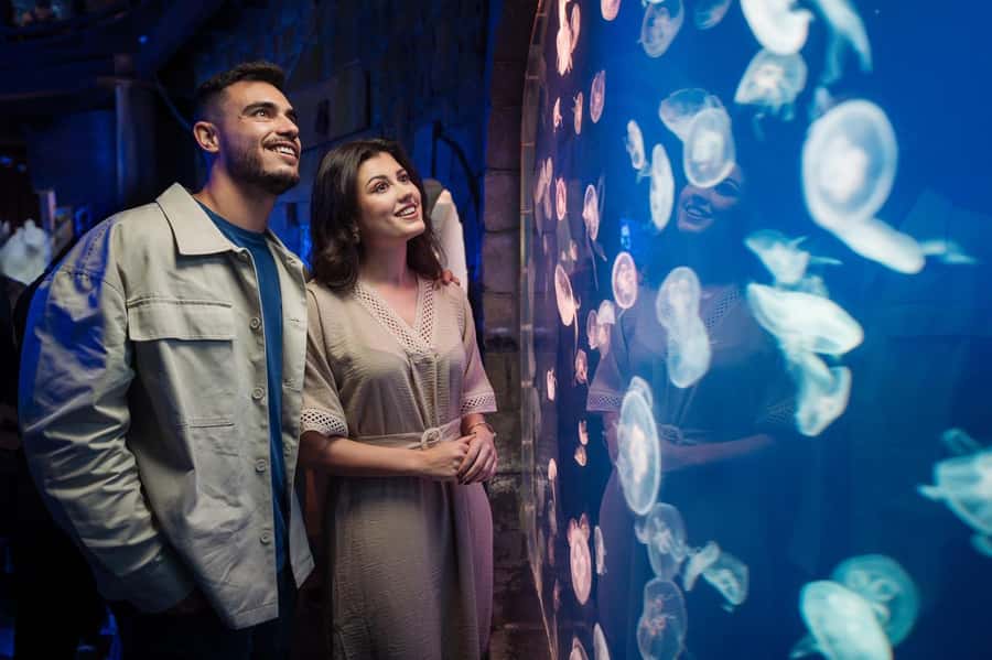 Dubai: Aquarium and Underwater Zoo Experience - The Underwater Zoo’s three ecological zones