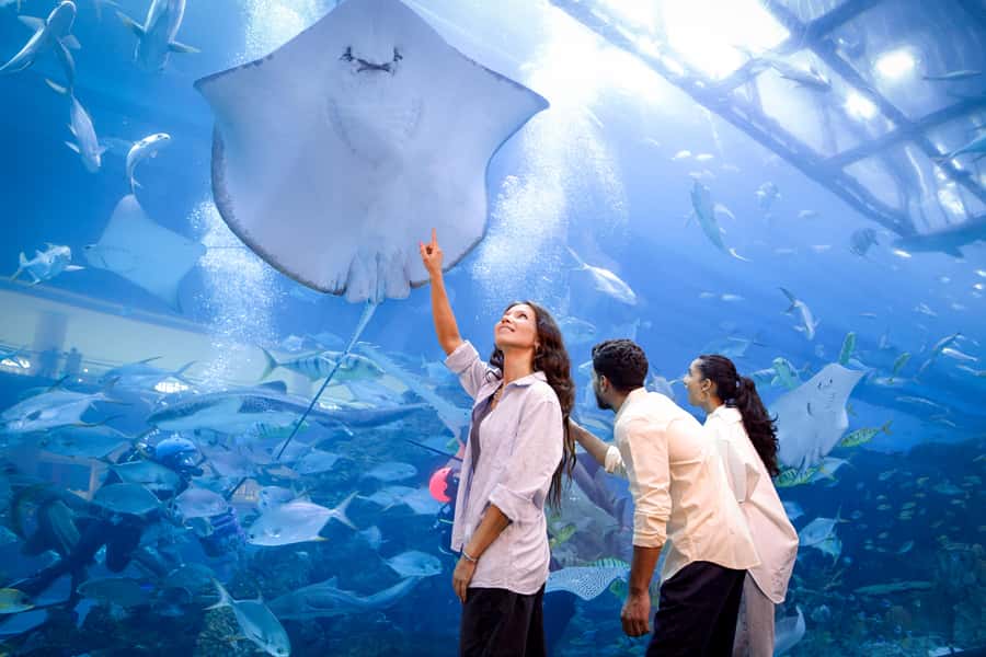 Dubai: Aquarium and Underwater Zoo Experience - How long to stay and when to go