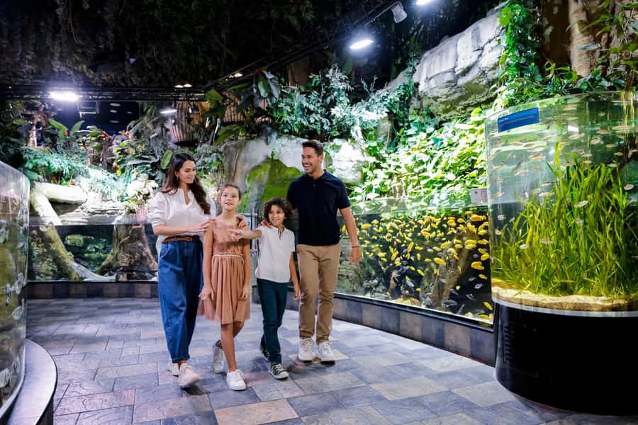 Dubai: Aquarium and Underwater Zoo Experience - Is the aquarium good value at $56?