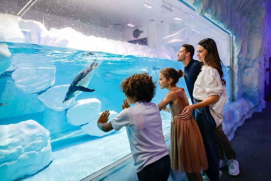 Dubai Aquarium + Sky Views Observatory Tickets - The Glass Walk is the real test of nerve