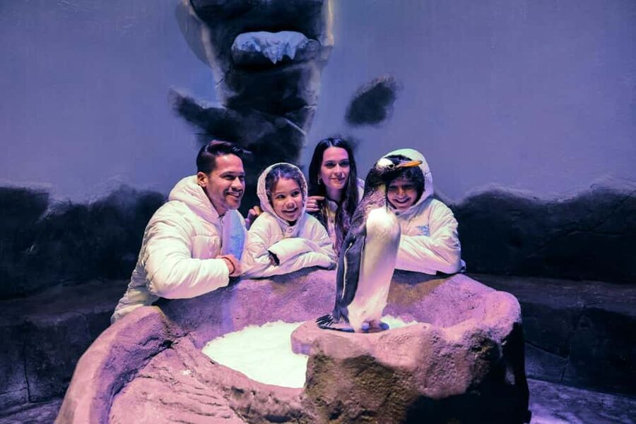Dubai Aquarium + Sky Views Observatory Tickets - Is $95 a fair price?