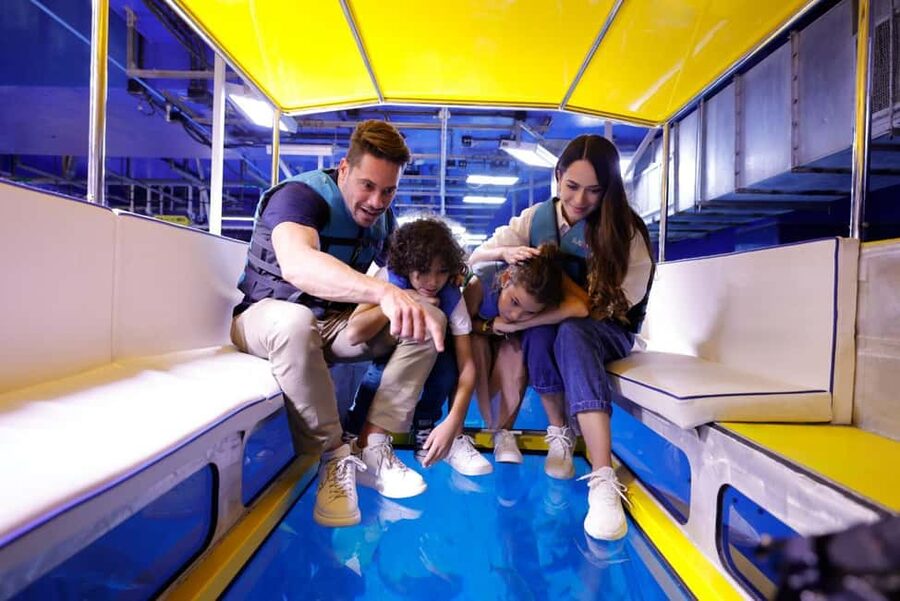 Dubai Aquarium + Sky Views Observatory Tickets - Practical rules worth knowing