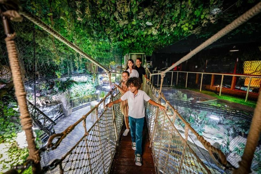 Dubai Aquarium + Sky Views Observatory Tickets - Sky Views Observatory and the Burj Khalifa from above