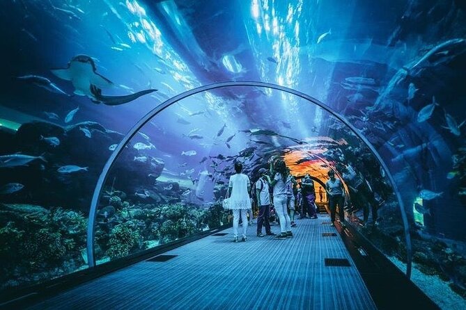 Dubai Aquarium underater zoo penguin cove with optional transport - Walking the Aquarium Tunnel