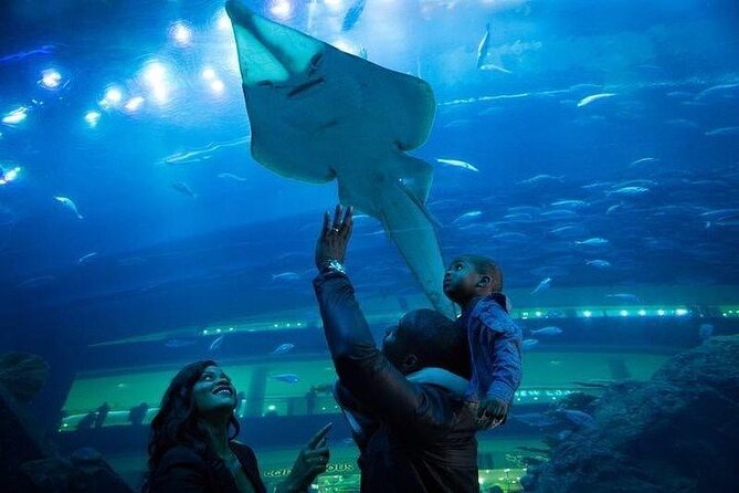 Dubai Aquarium underater zoo penguin cove with optional transport - Behind-the-scenes and fish-feeding options