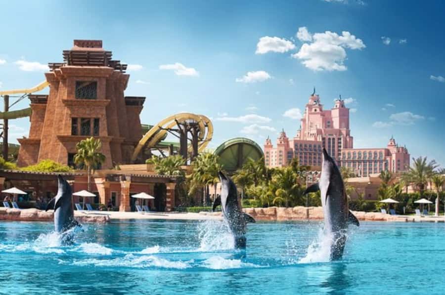 Dubai: Atlantis Dolphin Kayak Trip & Aquaventure Waterpark - Why the dolphin kayak session is the real reason to book