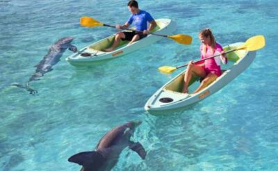 Atlantis Dolphin Kayak Trip & Aquaventure Waterpark