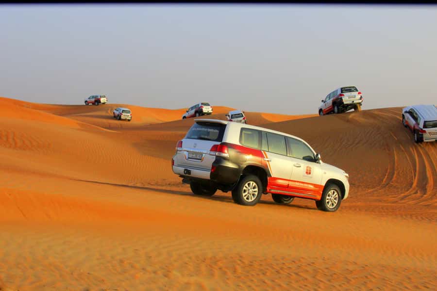 Dubai: Bedouin Camp, Dune Safari, Falcon Show & BBQ Dinner - Key points to know before booking