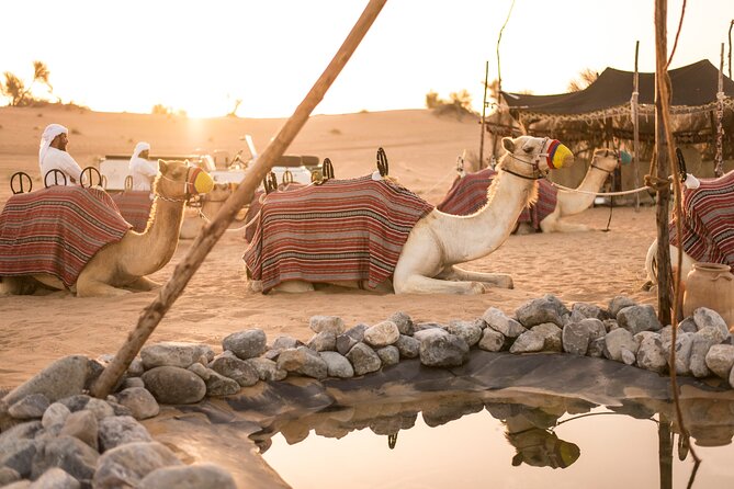 Dubai: Bedouin Culture Safari - The 5:00 to 6:00 AM pickup from Dubai