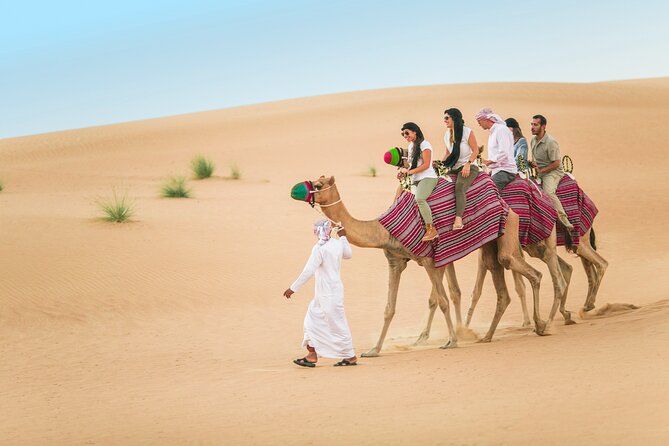 Dubai: Bedouin Culture Safari - Entering Dubai Desert Conservation Reserve