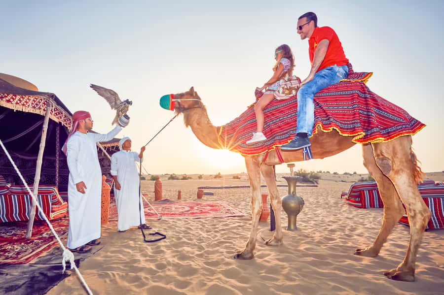 Dubai: Big Bus Hop-On Hop-Off Tour & Optional Dhow Cruise - The dhow cruise adds a slower hour