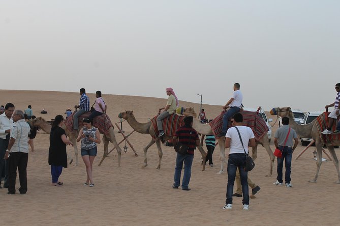Dubai: Buggy Dune Bashing, Sand Boarding, Camel Ride & Show - The camel ride is brief but useful for the setting
