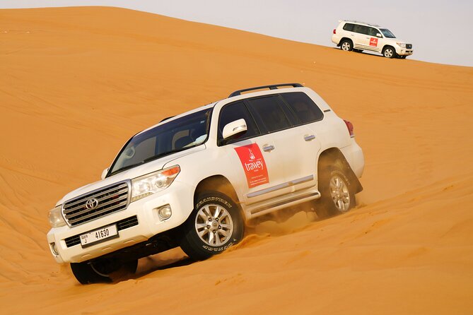Dubai Buggy Tour in red sands and Desert Safari - Red dunes, dune bashing, and the action level