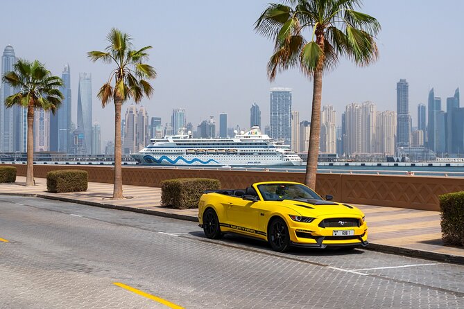 Dubai Cabrio Tour: Guided Tour of Top Sights in a Convertible Car - Burj Khalifa and the Dubai Fountain after dark
