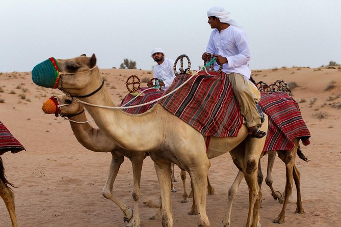 Dubai Camel Desert Safari, Traditional Meal & Heritage Activities - What the four-course Emirati dinner includes