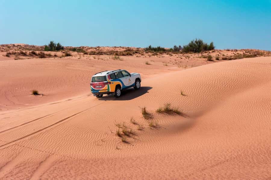 Dubai: Camel Safari, Wildlife & Lakeside Breakfast - A quiet morning instead of a high-speed safari