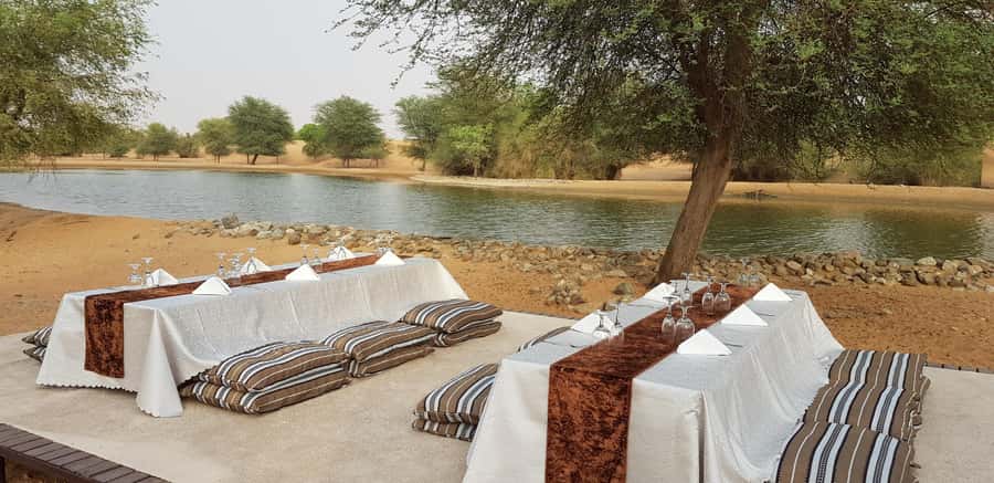 Dubai: Camel Safari, Wildlife & Lakeside Breakfast - Breakfast beside the desert lake