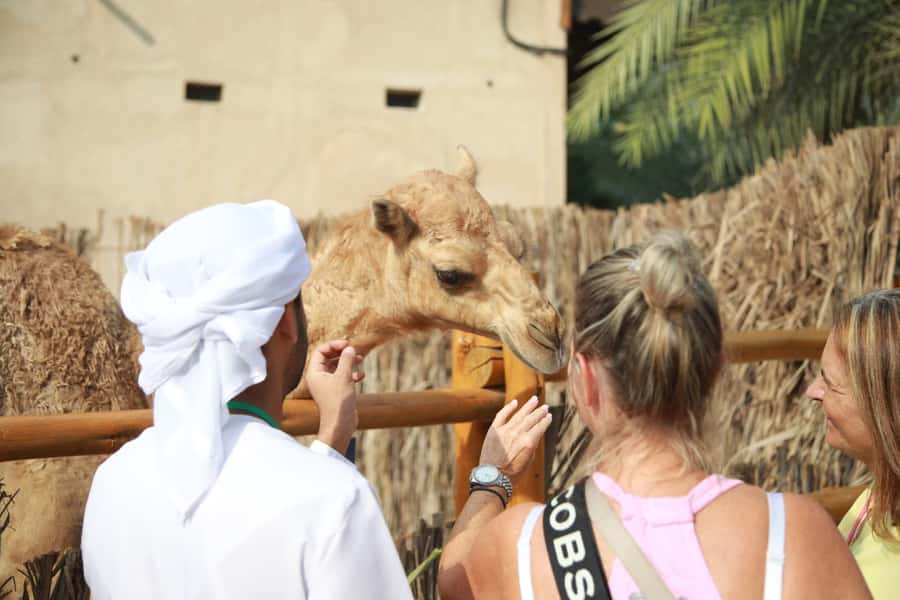 Dubai: City Highlights Private Layover Tour with Transfer - How the private format changes the day