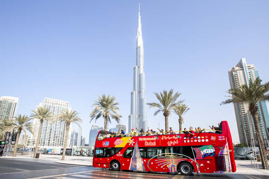 Dubai: City Sightseeing HOHO Bus Tour + Sunset & Night Tour - Blue Route: the Palm, Marina, and beach skyline