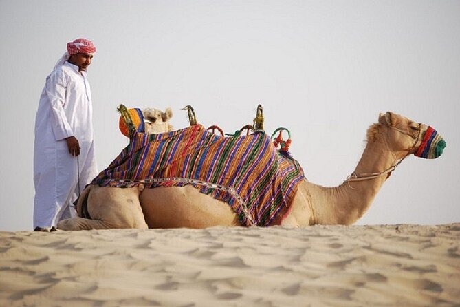 Dubai City Tour and Evening Desert Safari Combo - The Blue Mosque offers a quieter change of mood