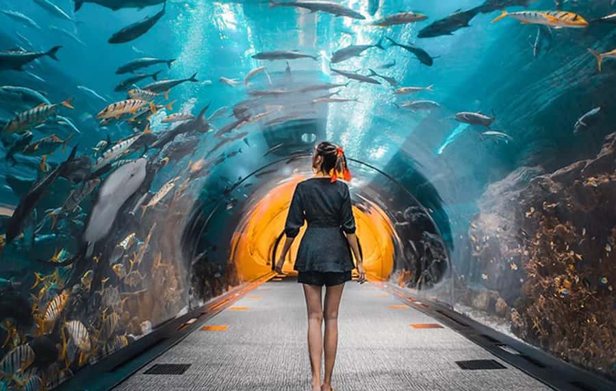 Dubai: City Tour with Burj Khalifa and Underwater Zoo Ticket - Key points to know before booking