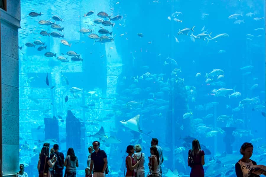 Dubai Combo: Morning City Tour & Evening Desert Safari - Why this Dubai pairing works