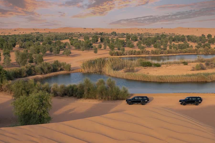 Dubai: Conservation Drive & Platinum Breakfast - A 6:30 AM pickup and an easy ride into the dunes