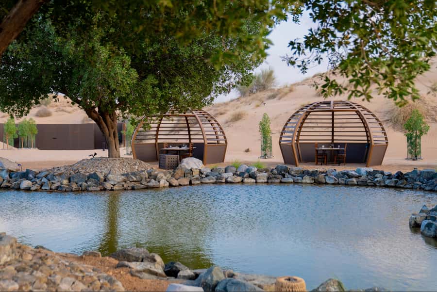 Dubai: Conservation Drive & Platinum Breakfast - Should you book the Conservation Drive and Platinum Breakfast?